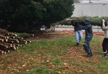 Volunteers helping move trees for the Y Men's Christmas Tree Sale