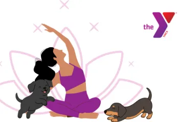 Y logo with cartoon yoga participant and two dogs