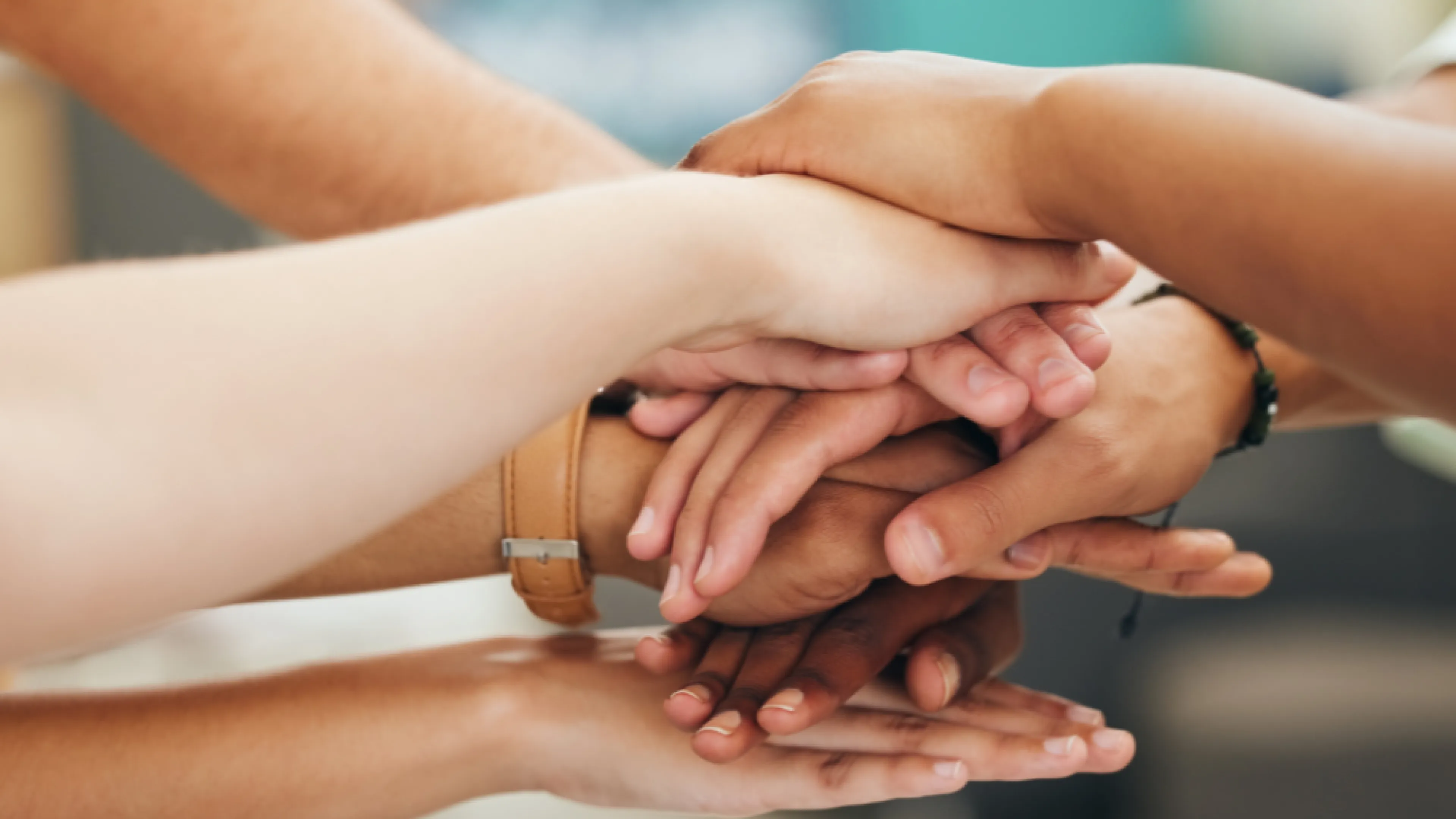 Community Partners