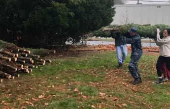 Volunteers helping move trees for the Y Men's Christmas Tree Sale