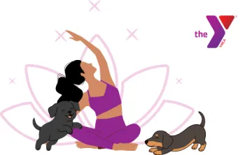 Y logo with cartoon yoga participant and two dogs